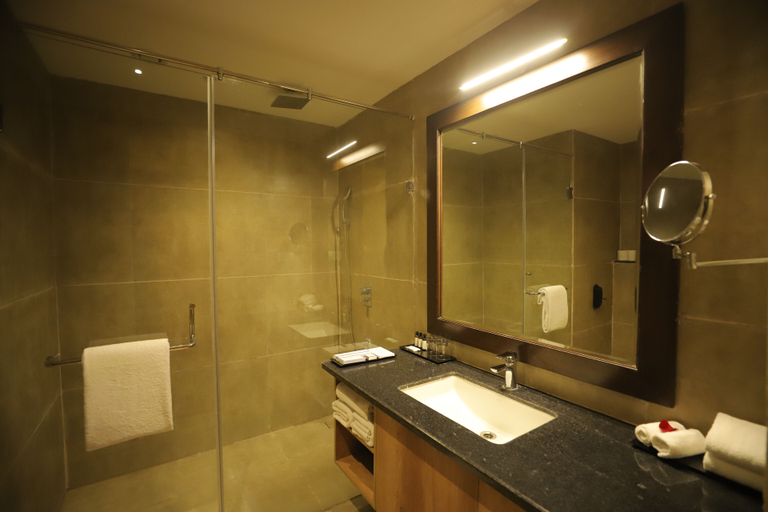 Bathroom 4, Essentia Udaipur Luxury Resort & Spa, Udaipur