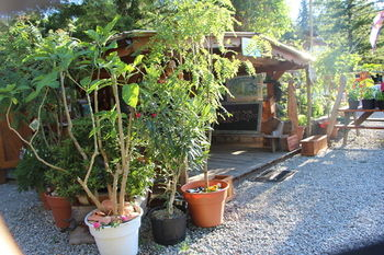 Others 4, Ruby Lake Resort, Sunshine Coast