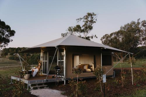 Others 5, CANVS by CABN Seppeltsfield Barossa, Light