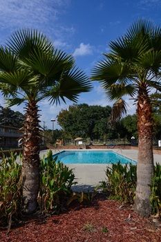 Others 5, Americas Best Value Inn Hammond, Tangipahoa
