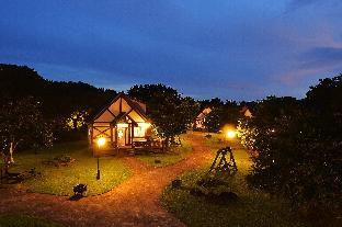 Other 5, The Forest Aewol, Jeju