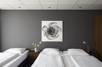 Others 5, Hotel d'Amsterdam, Amsterdam