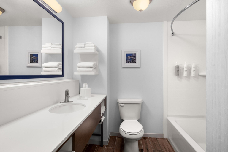 Bathroom 4, Hampton Inn & Suites Fresno, Fresno