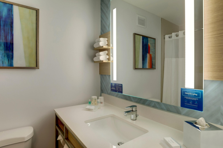 Bathroom 4, Hilton Garden Inn Fort Worth/Fossil Creek, Fort Worth