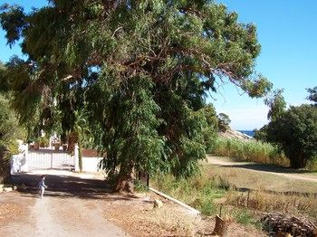 Others 5, Le clos des sept palmiers, Var