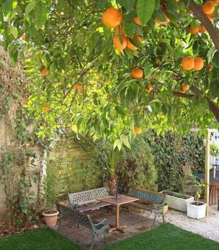 Others 4, Nice Garden Hôtel, Alpes-Maritimes