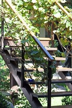 Others 4, Casa Lila Bed & Breakfast, Capital