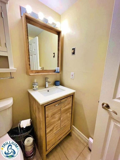 Bathroom 3, Rustic Mountainside Chalet, Grey