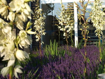 Others 5, Q.C.M. Campus, Seftigen