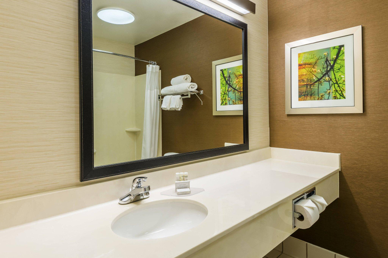 Bathroom, Hotel Luna, Albany