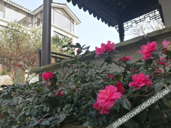 外观 2, Pure Land Villa, Suzhou