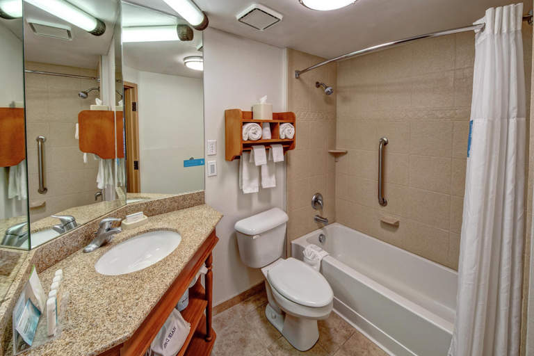 Bathroom 5, Hampton Inn Winchester, Clark