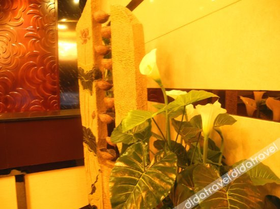 公共区域 2, SHUHAN HOTEL, Xi'an