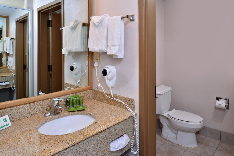 Bathroom, Stage Coach Inn, Gallatin