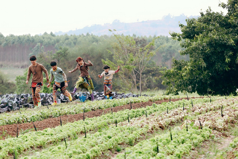 Others 4, Organic Coolliving Farmhouse, Wang Num Khiaw