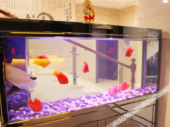 Others 2, Meitu Hotel (Changsha Peiyuanqiao Subway Station), Changsha