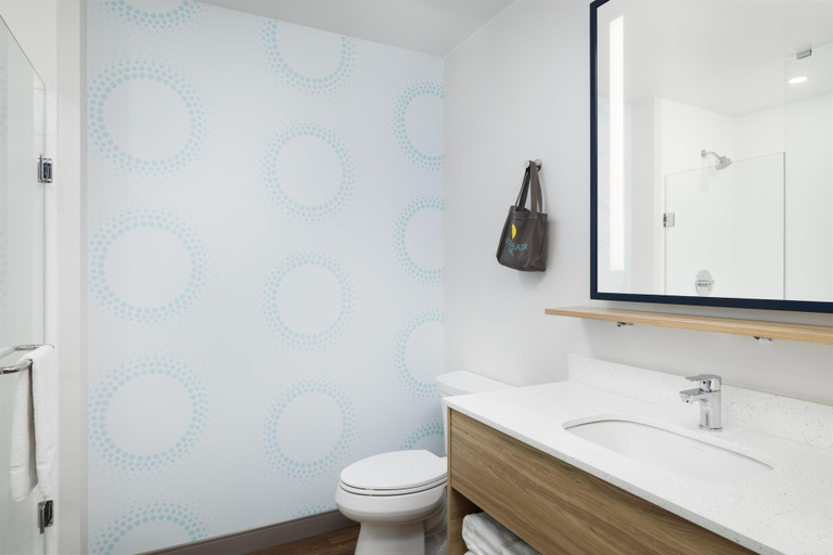 Bathroom, Tru By Hilton Cleveland, TN, Bradley