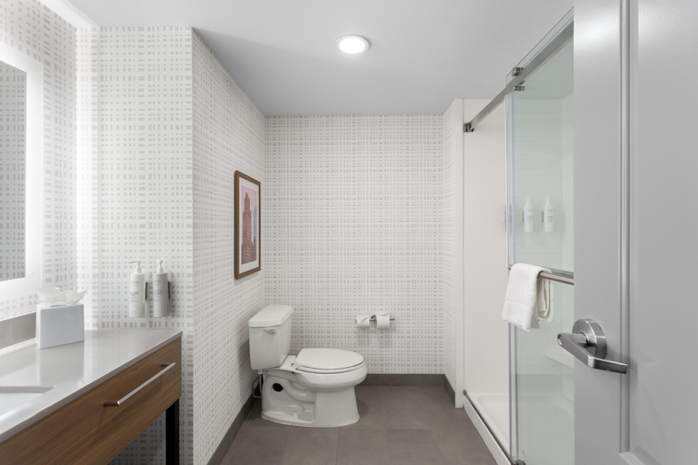 Bathroom 4, Hampton Inn & Suites Chicago Deer Park, Cook