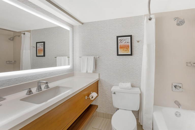 Bathroom 5, DoubleTree by Hilton Spokane City Center, Spokane