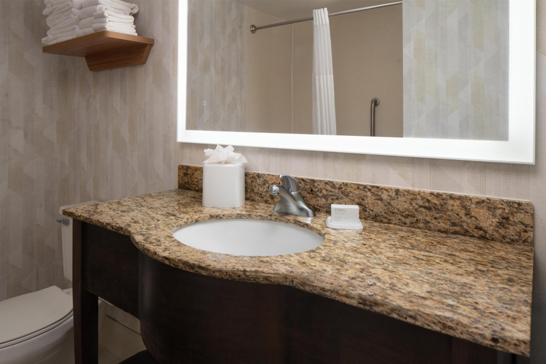 Bathroom 4, Hampton Inn by Hilton Hopewell Fort Lee, Hopewell