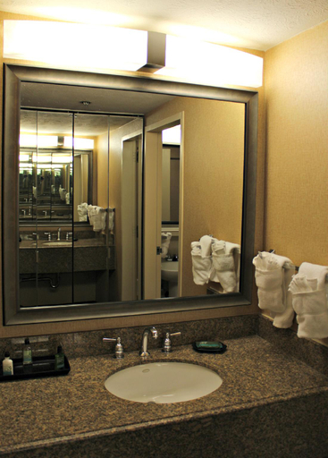 Bathroom, Alta Hotel, El Paso
