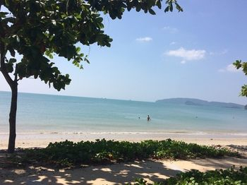 Others 3, Won Won Place, Mueang Krabi