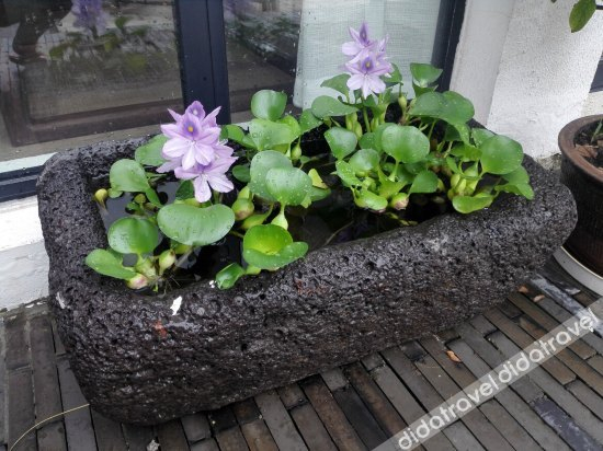 公共区域 5, Youshan Inn, Nanjing