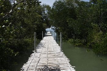 Others 2, Mangrove ECO Resort, Alcoy