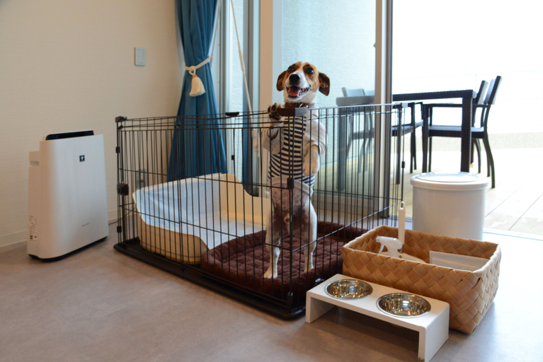 Pet-friendly amenities 5, BAYSIDE KANAYA, Futtsu