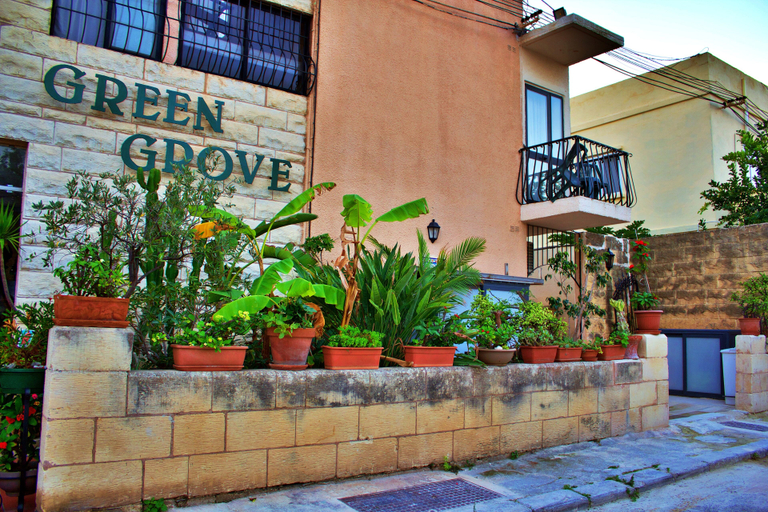 Exterior & Views 2, Green Grove Guest house