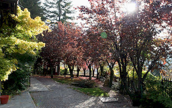 Others 5, Appartamento Bardonecchia, Torino