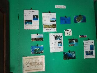Others 4, Summer Guest House, Moalboal