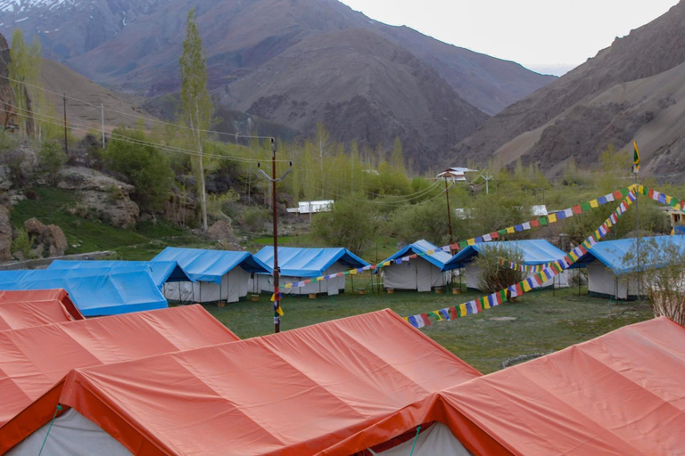 3, Nunkun Camp Shargole Kargil, Kargil