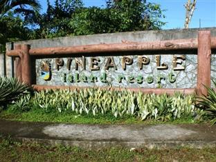 Others 3, Pineapple Island Resort, Daet