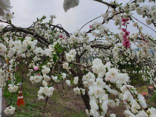 Others 4, Yangju Healing Shelter Pension, Yangju