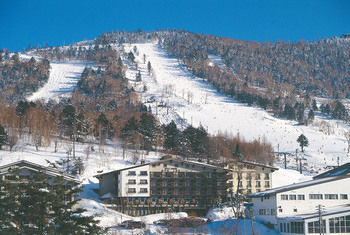Others 4, Hotel Kodama, Yamanouchi