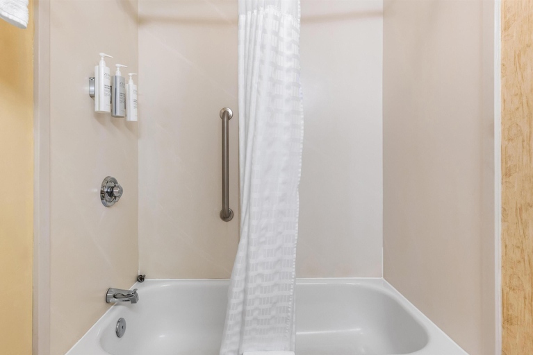 Bathroom 4, Hampton Inn Guntersville, Marshall