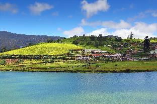 Others 5, BLUEFIELD COTTAGE HOTEL- NUWARA ELIYA , Nuwara Eliya