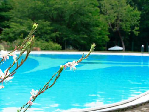 Others 4, You Resort Hotel, Yamanouchi