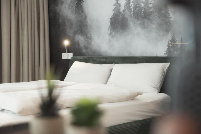 Room 4, Black Forest Suites, Ortenaukreis