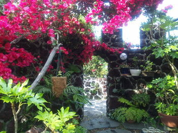 Featured Image, J-Garden, Itō