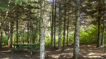 View from Hotel 4, Auberge et Chalets Griffon Aventure, La Côte-de-Gaspé