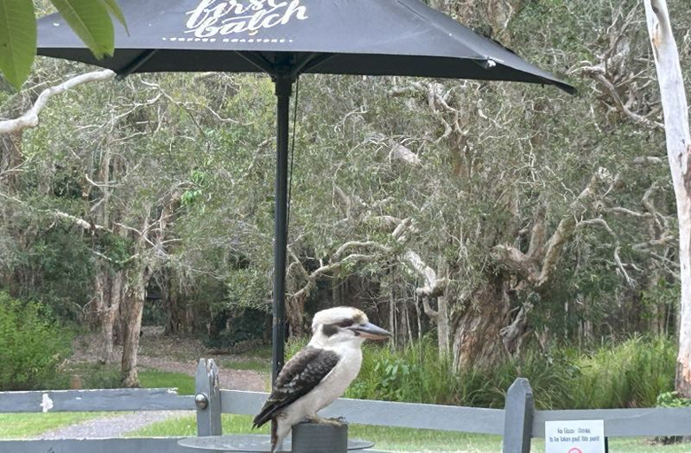 Others 2, Habitat Noosa Everglades Eco Camp, Noosa Bal