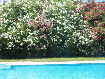 Others 3, Villa Rita Apartments, Crete