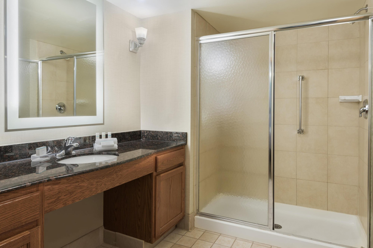 Bathroom 4, Homewood Suites by Hilton Buffalo/Amherst, Erie