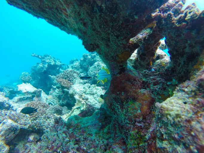 Others 2, Holiday Village Retreat, North Ari Atoll