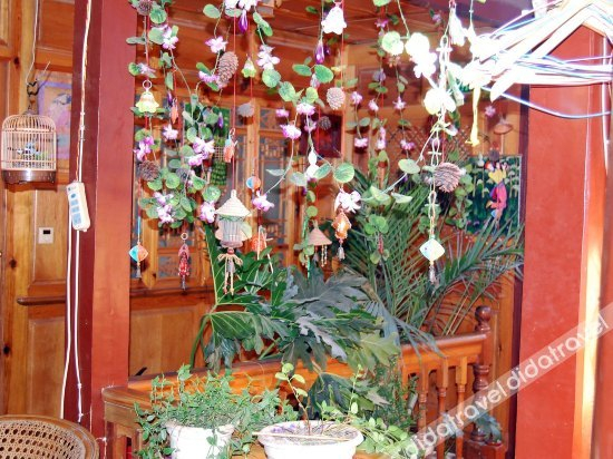 Others 5, Xiangzhi Hotel, Lijiang