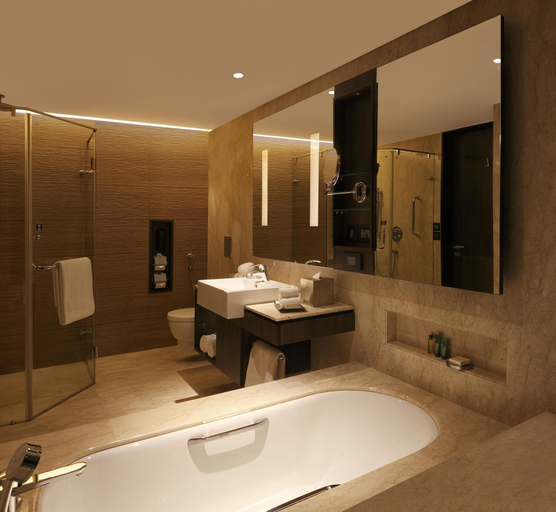 Bathroom 5, Hilton Jaipur, Jaipur