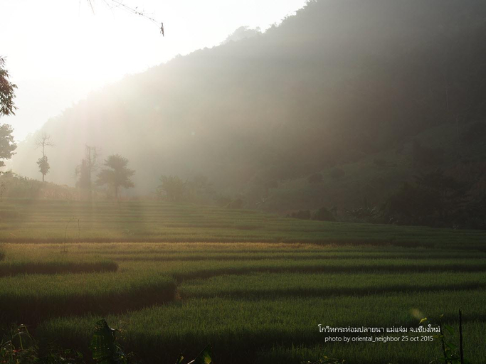 Others 5, Kowit Maechaem Farmstay, Mae Chaem