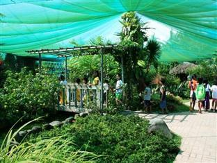 Others 5, Pineapple Island Resort, Daet